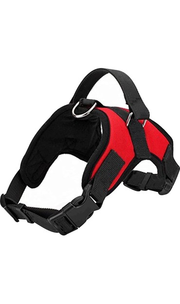 Red Chest Strip Harness