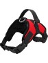 Red Chest Strip Harness