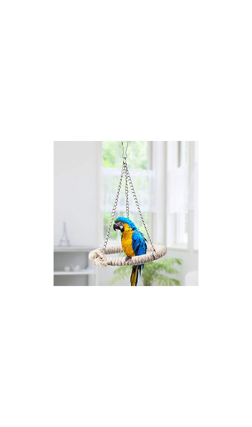 Swing And Perch Bird Toys