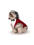 Dog Tuxedo And Bandana Set