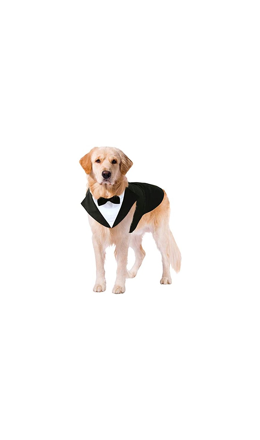 Dogs Wedding Party Suit