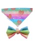 Rainbow Colours Bow Tie